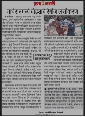 Rabies Vaccination Of Horses At Matheran